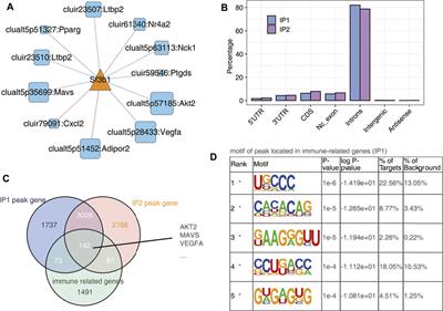 Genome-Wide Identification of Immune-Related Alternative Splicing and Splicing Regulators Involved in Abdominal Aortic Aneurysm